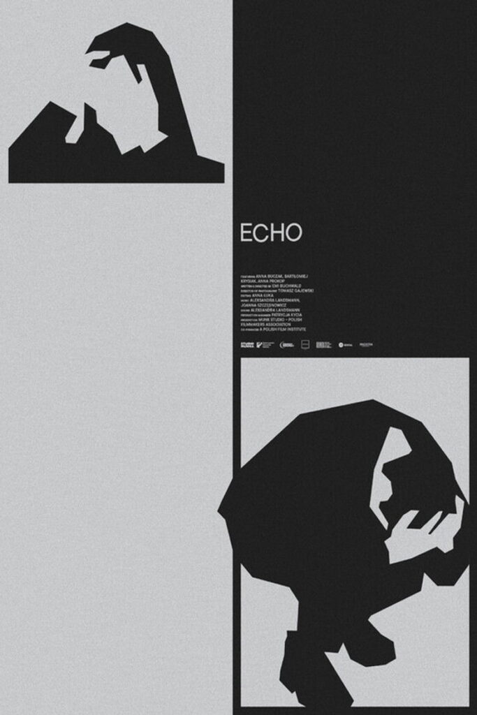 Echo (2025)
